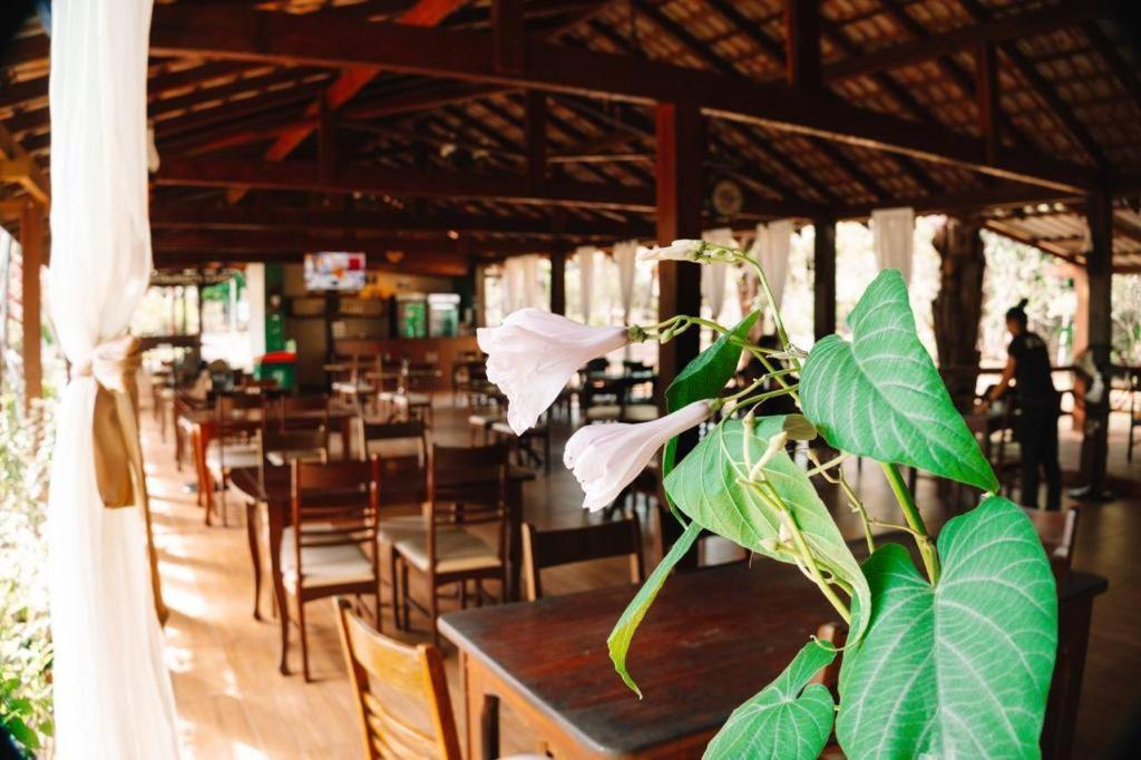 Amazonia Parksuites Novo Airao Exterior photo